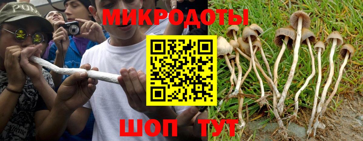 Кострома  Псилоцибиновые грибы Cubensis  Галлюциногенные грибы мицелий  Вход с VPN 