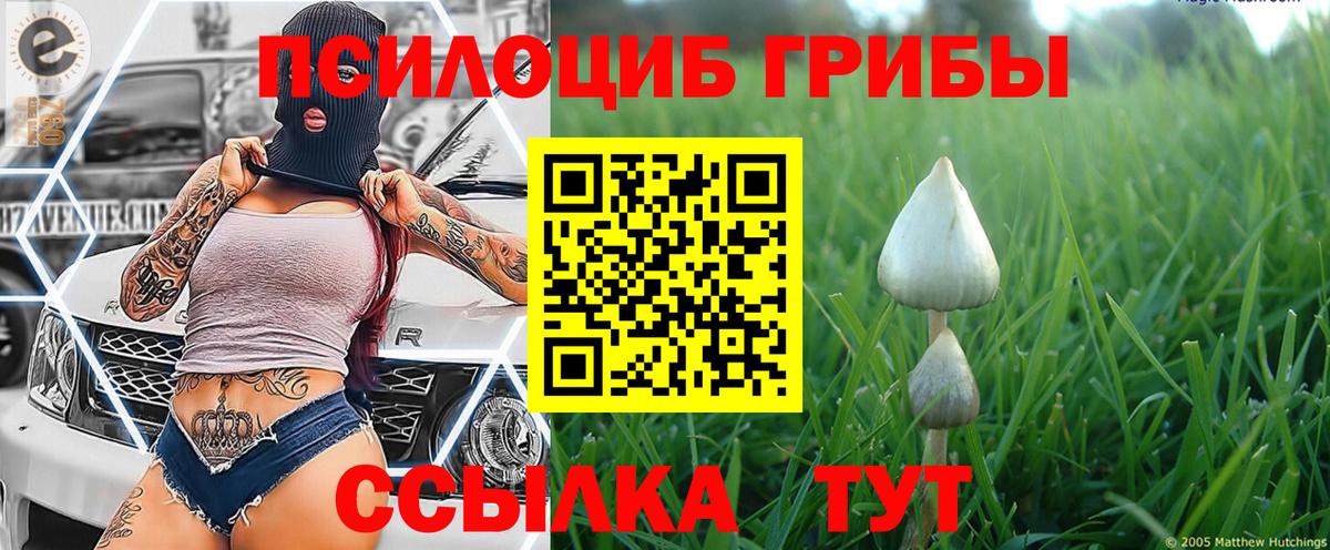 Галлюциногенные грибы ЛСД Кострома